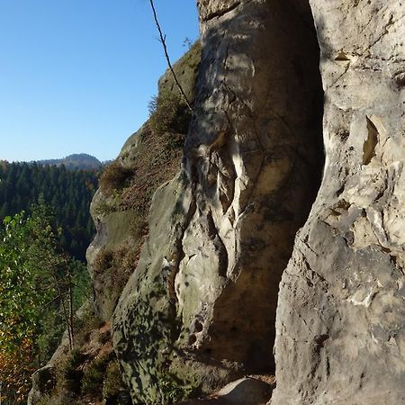 Gasthaus "Zum Wanderstuebel" 힌테르헤름스도르프 외부 사진